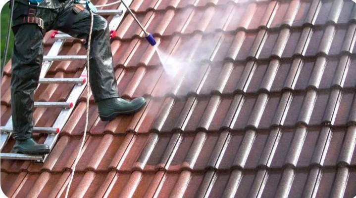 Un toit propre et sain pour une meilleure longévité