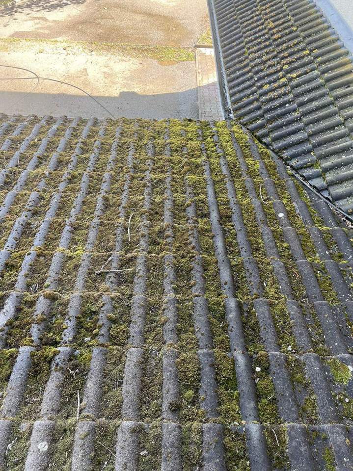 Traitement antimousse Cambrai