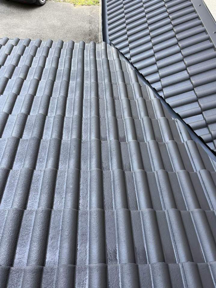 Traitement antimousse Cambrai